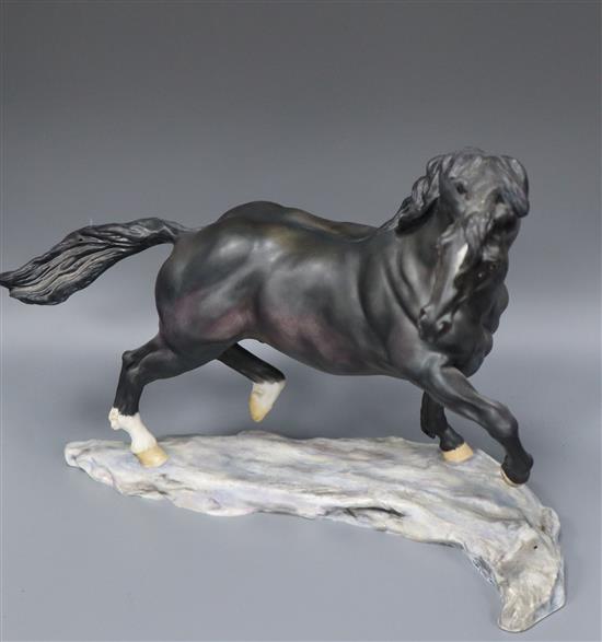 A Royal Worcester model of a stallion, Llanarth Flying Comet after Lorne McKean, No. 53 (of 250), lacking plinth and certificate